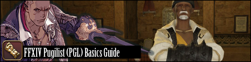 banner picture for the Pugilist basics guide