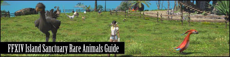 FFXIV Island Sanctuary Rare Animals Guide | List, Locations, etc